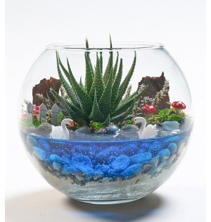 TERERYUM HOWARDİA